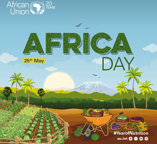 تسعة وخمسون عامًا من التعاون الأفريقي.. أهداف طموحة وتحديات قائمة